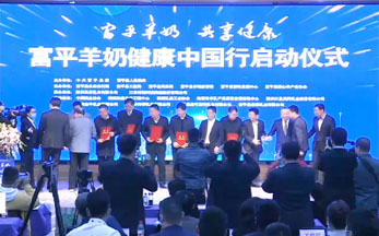 品牌推广 行业标杆
