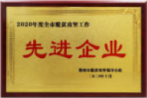 2020脱贫攻坚先进企业