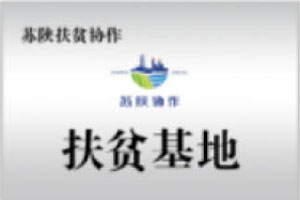 苏陕扶贫协作 扶贫基地