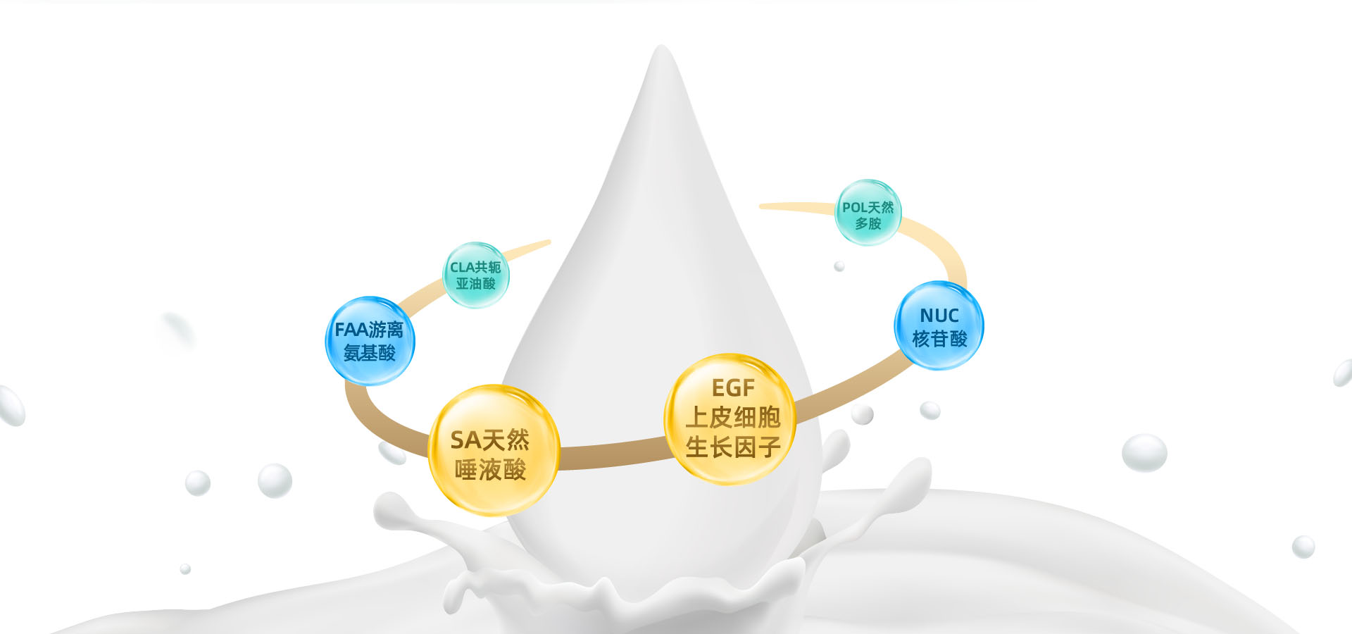 羊奶富含6大活性成分